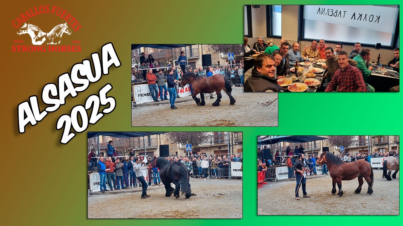 💪🐎FERIA de ALSASUA 2025 (Navarra)🏆🐎 #horse #horsebreed #caballos #horselovers