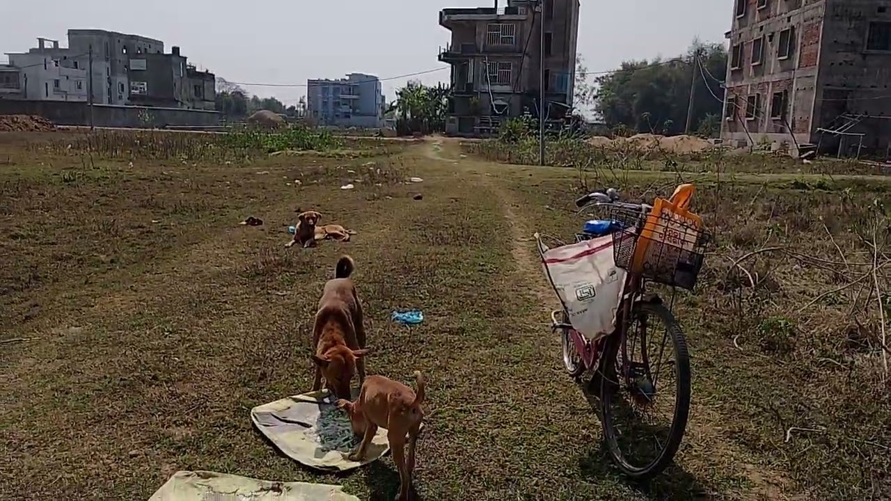 @puja parida Puja pareda