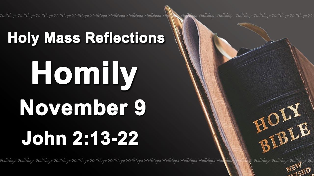 Homily Saturday November 9 2024 I Catholic Mass Daily Reading And Reflections I John 2:13-22