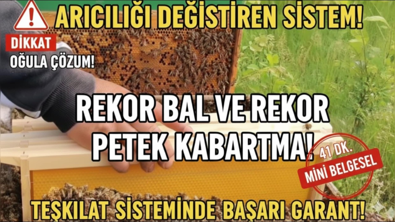 ARICILIKTA 'TEŞKİLAT' SİSTEM gerçek Ters Kat Yöntemi ve Sezonun İlk Bal Hasadı! 🍯