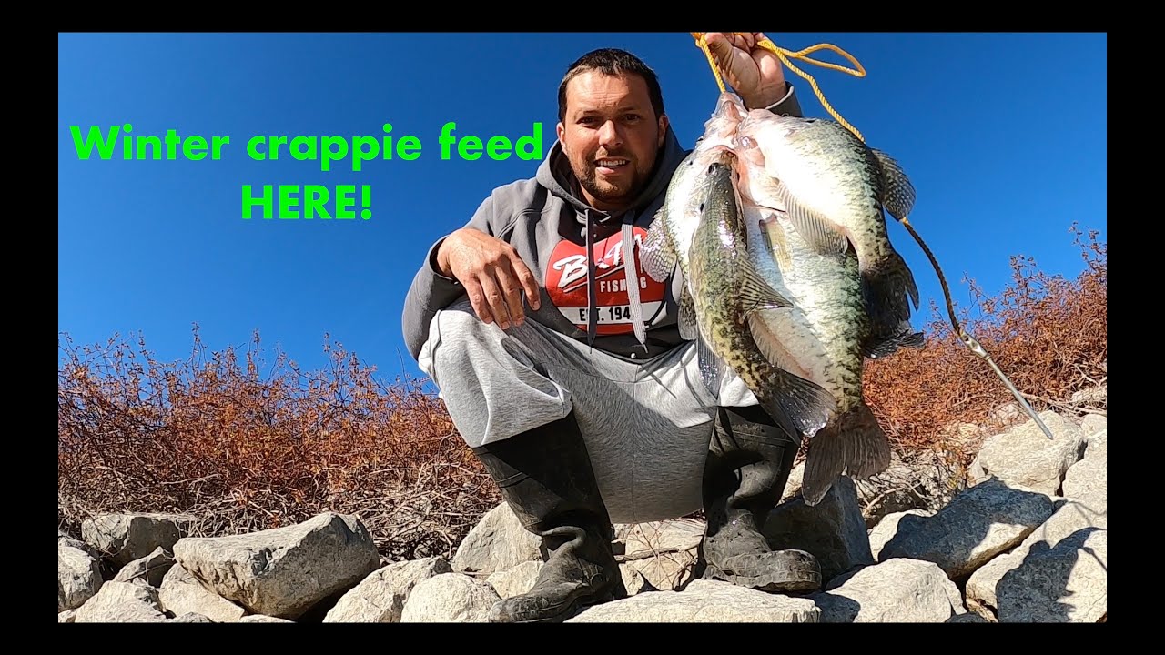 WINTER crappie come HERE to FEED on EVERY LAKE across the country! NO BOAT NEEDED!