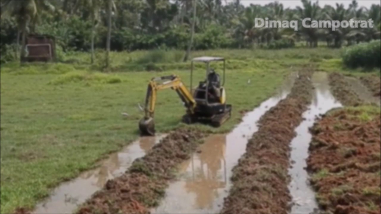 Yanmar vio20