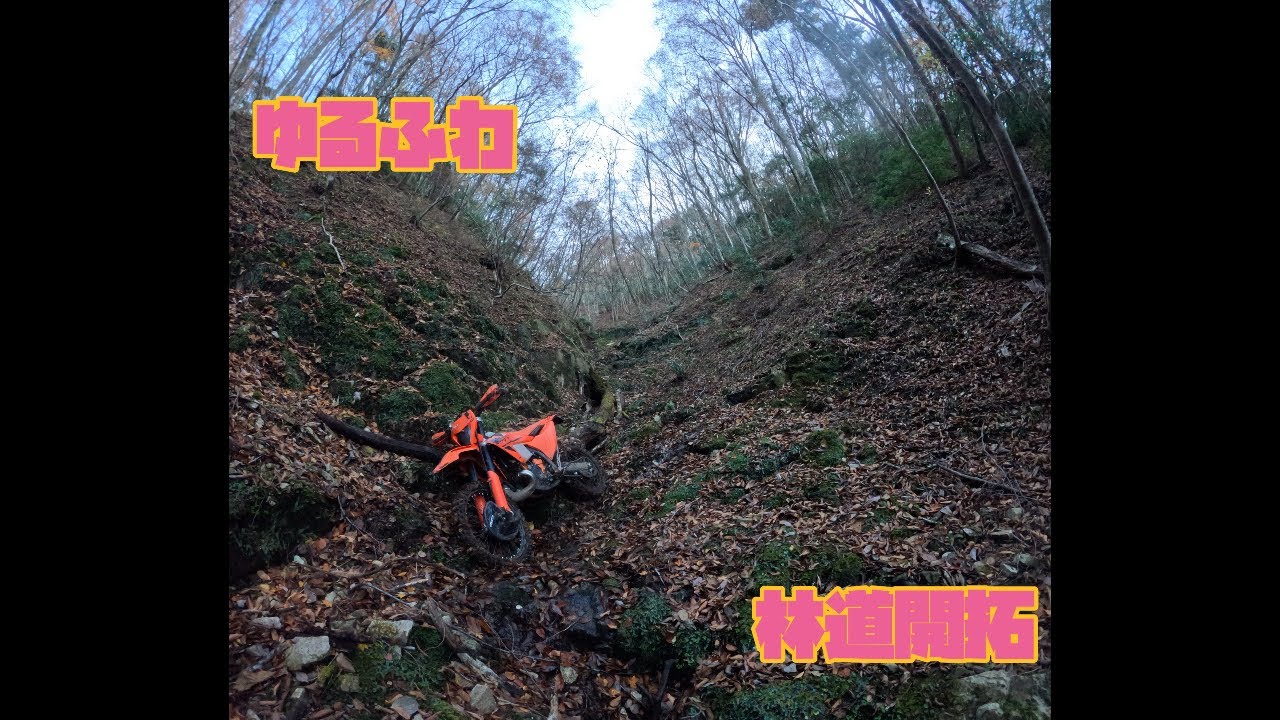 ビリのボルトに弟子入り&開拓#hardenduro #林道#ツーリング #バイク #KTM