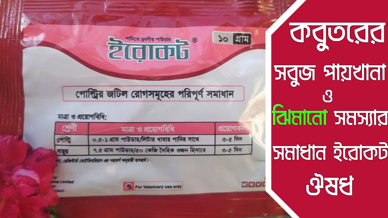 কবুতরের সবুজ পায়খানা ও ঝিমানো রোগের চিকিৎসা || Pigeon green dropping treatment || Erocot