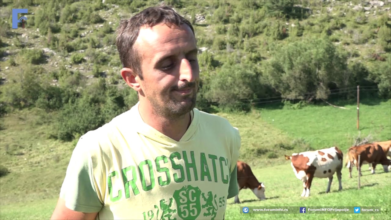 Poljoprivrednik Milisav Kurćubic, selo Bukovik,  Nova Varoš