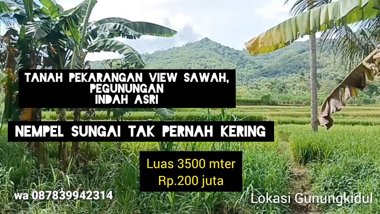 TANAH PEKARANGAN VIEW SAWAH INDAH NEPEL SUNGAI👍👍👍