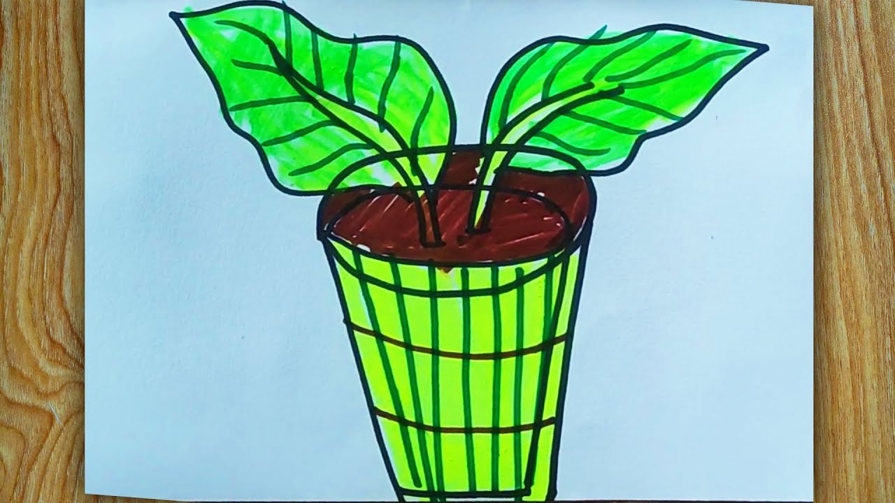 How to draw Eggplant Tree step by step (very easy drawing )