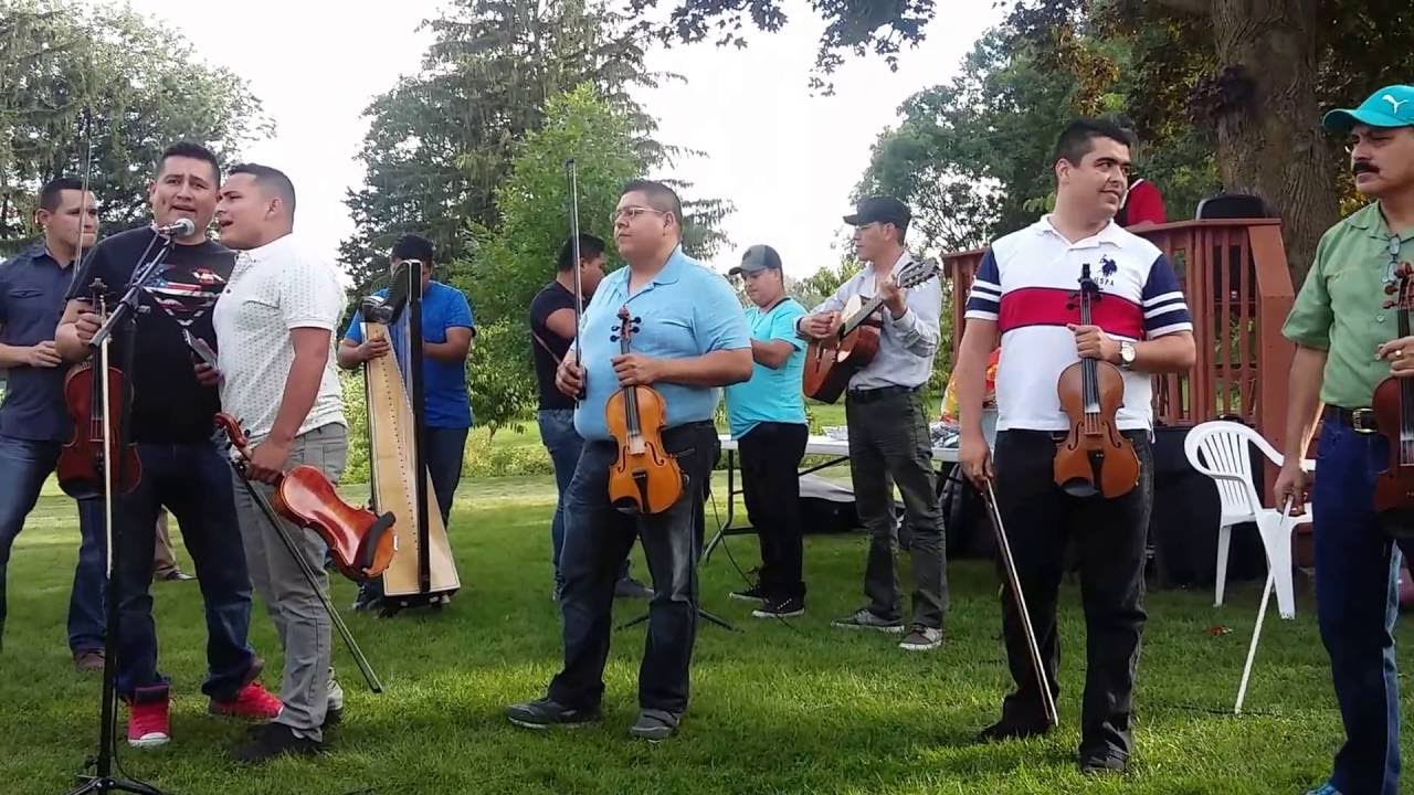 Se Va Muriendo Mi Alma (En Vivo)--Mariachi Nuevo Tamazula