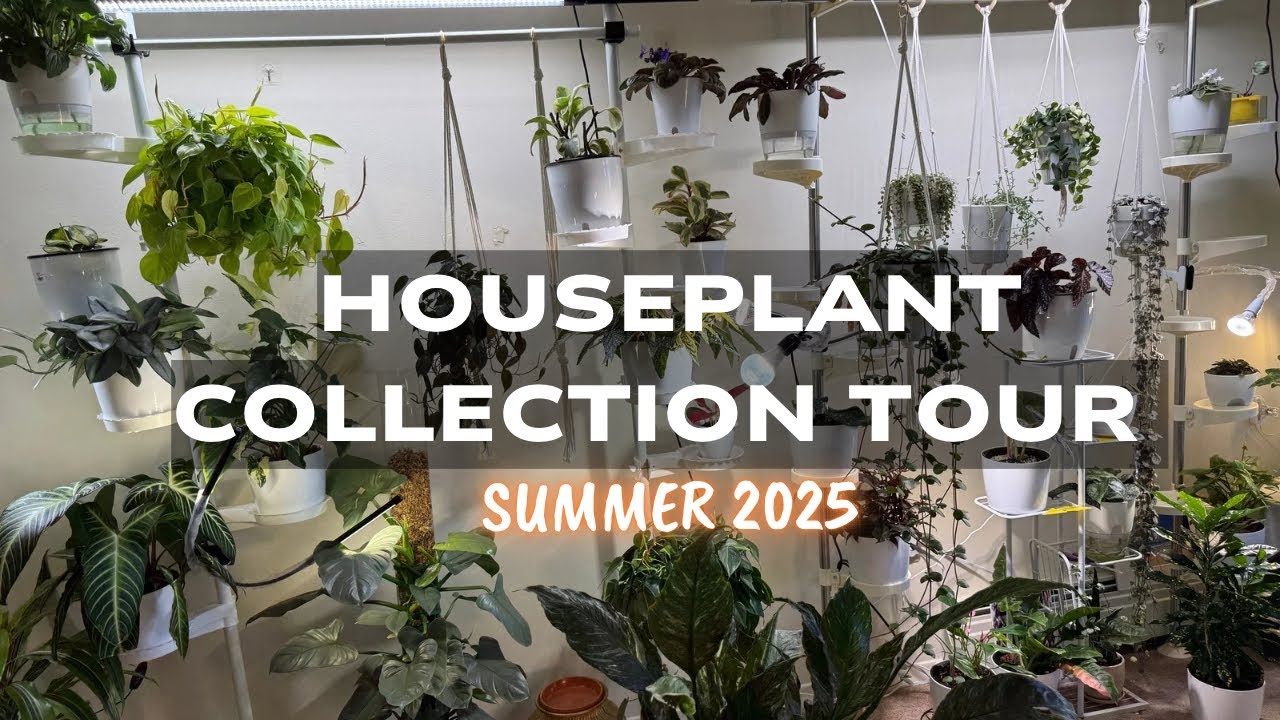 🌿My Mom's Cozy Indoor Jungle (Summer Edition!) 🪴The Ultimate Set-up for Low-Light Spaces 