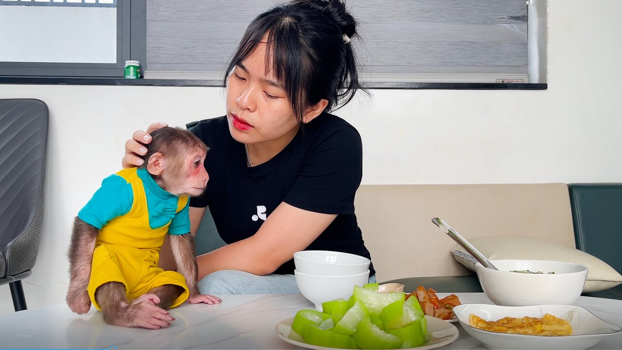 Cubis's meal of love – A special gift for Dad!