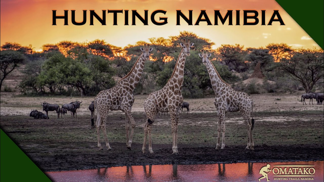 Hunting in Namibia - Omatako Hunting Trails