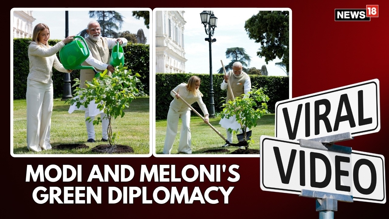 PM Modi and Giorgia Meloni Plant Mulberry Tree During Rome Diplomatic Meeting | PM Modi | N18G