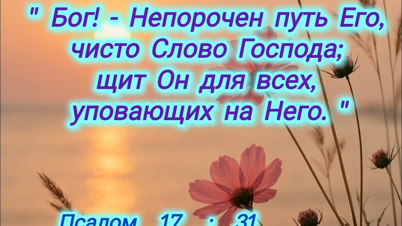 Господь - щит для всех  уповающих на Него. 