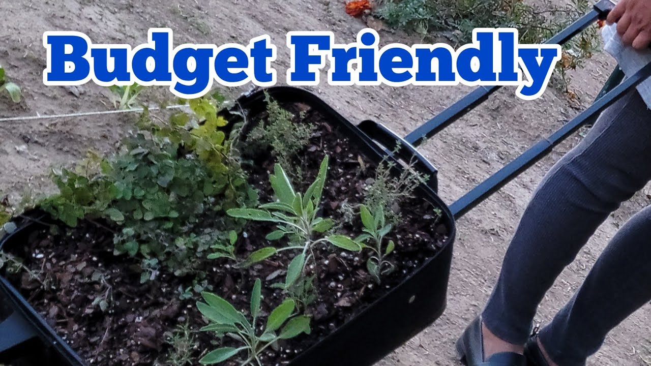 Easy Planter Idea for Your Organic Backyard Garden