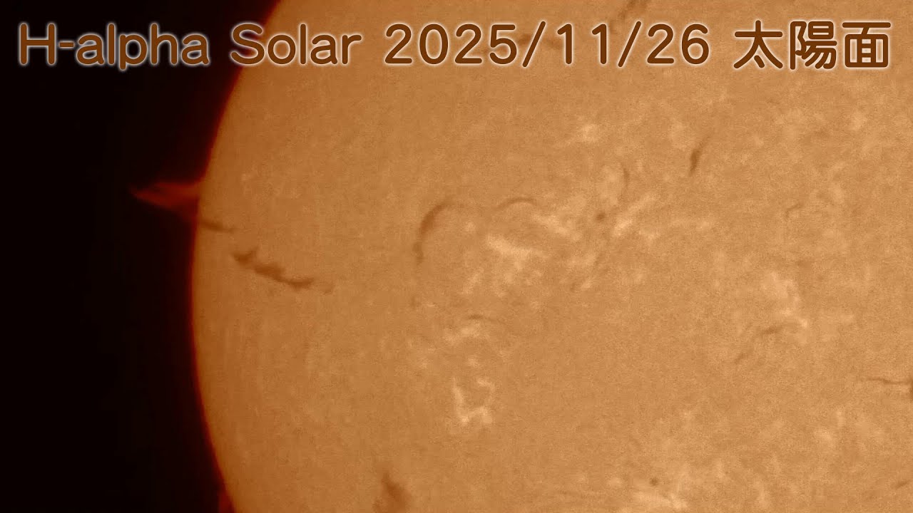 H-alpha Solar 太陽　2025/11/26　 ACUTER PHOENIX 40　GH5S