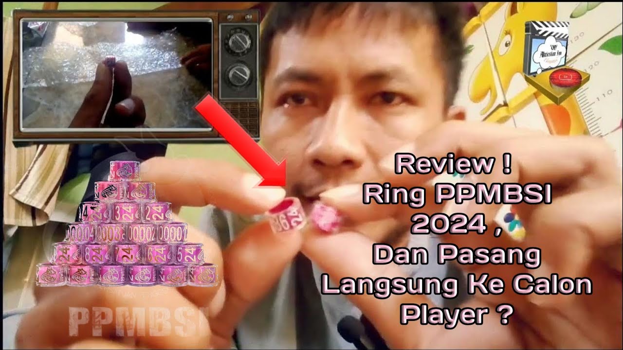 Tak Disangka ! Ring Merpati Balap PPMBSI 2024 Warnanya ? Langsung Pasang Calon Merpati Player ?