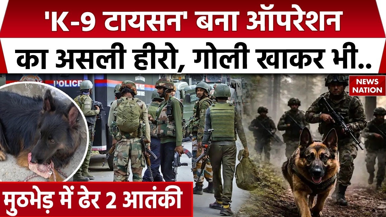 Kishtwar Encounter: J&K में Operation Trashi-1 में K-9 Tyson बना असली हीरो | Jaish Terrorist Killed