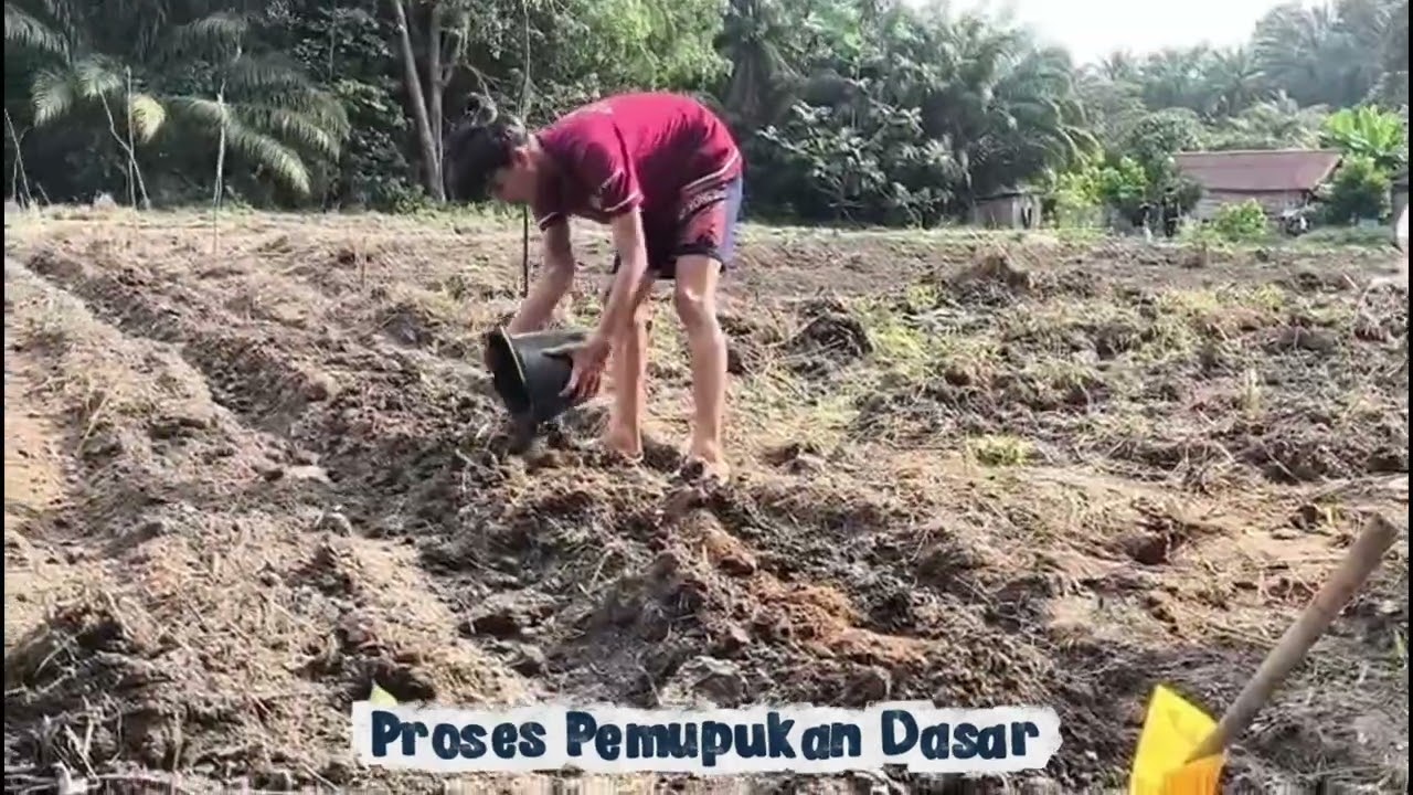 Akpal setiady putra_Dr. Indri Januarti S.P., M.Sc._ Minggu kedua