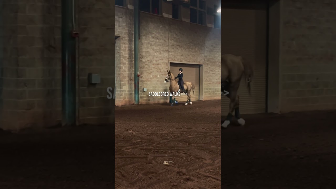 elroy’s strut when he’s game is top notch. | 