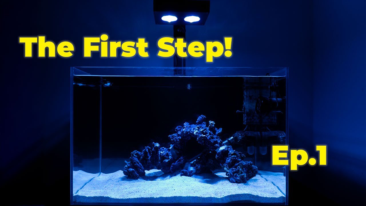 Tiny Tank, Big Dreams – Nano Reef Build Ep. 1
