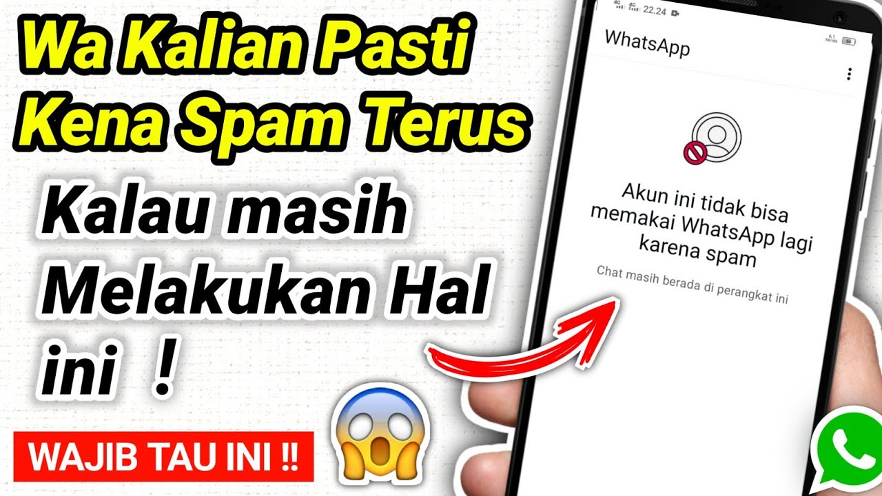 Wa kena spam terus ? Ternyata ini penyebabnya !!