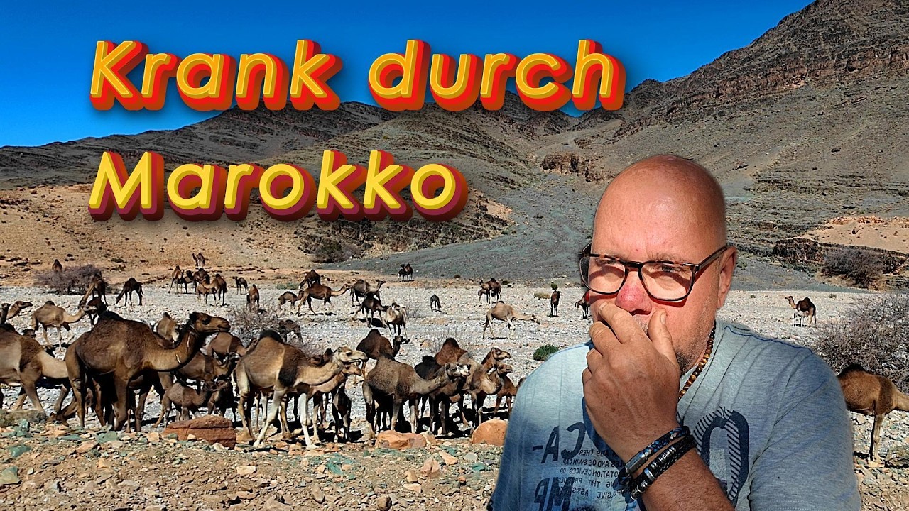 Krank durch Marokko, Blaue Felsen, Tour  Antiatlasgebirge, Oasenstadt Tata, Camping unterPalmen.