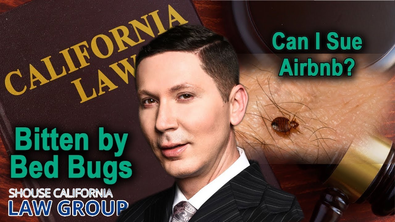 Can I sue Airbnb if I was bitten by bed bugs during a stay?