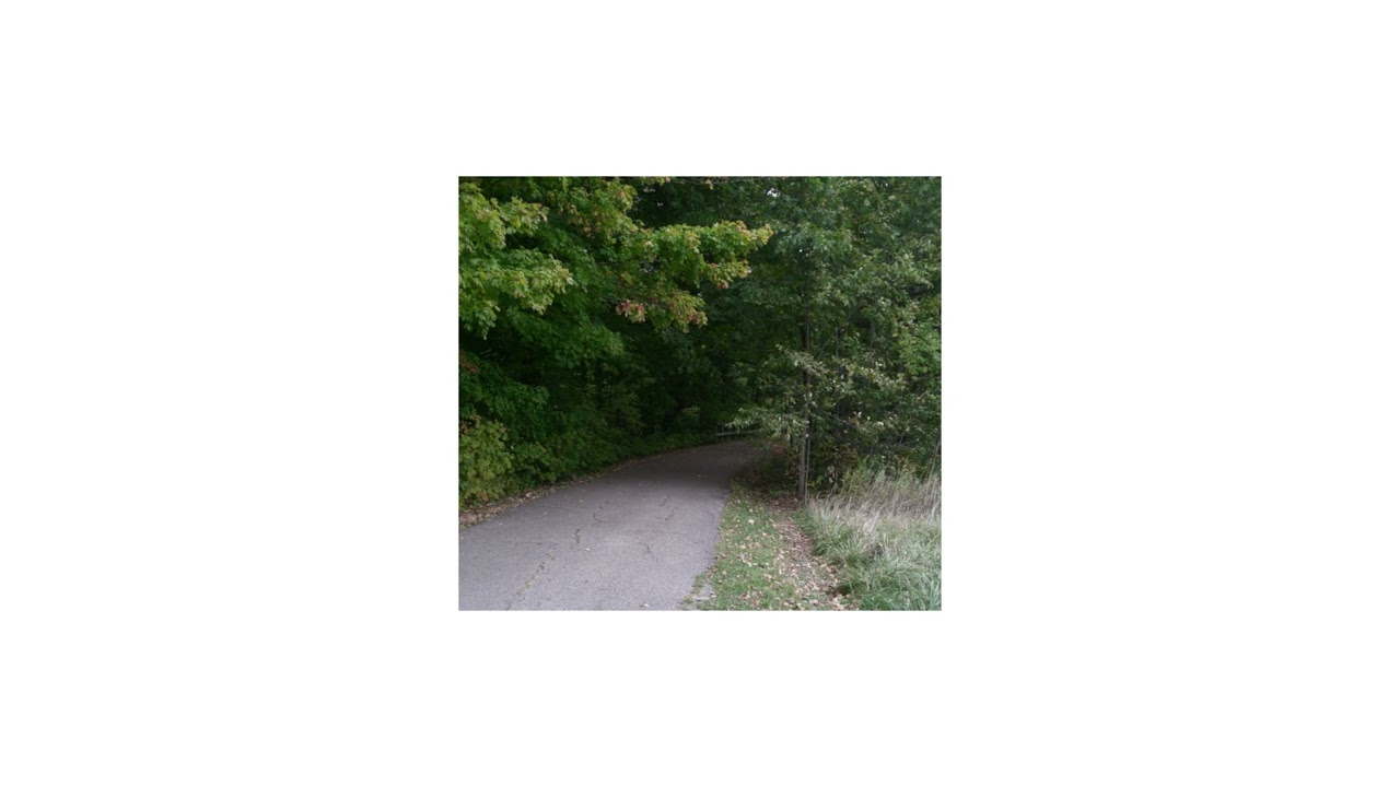 free *no drums* slowcore + dandelion hands type beat - 