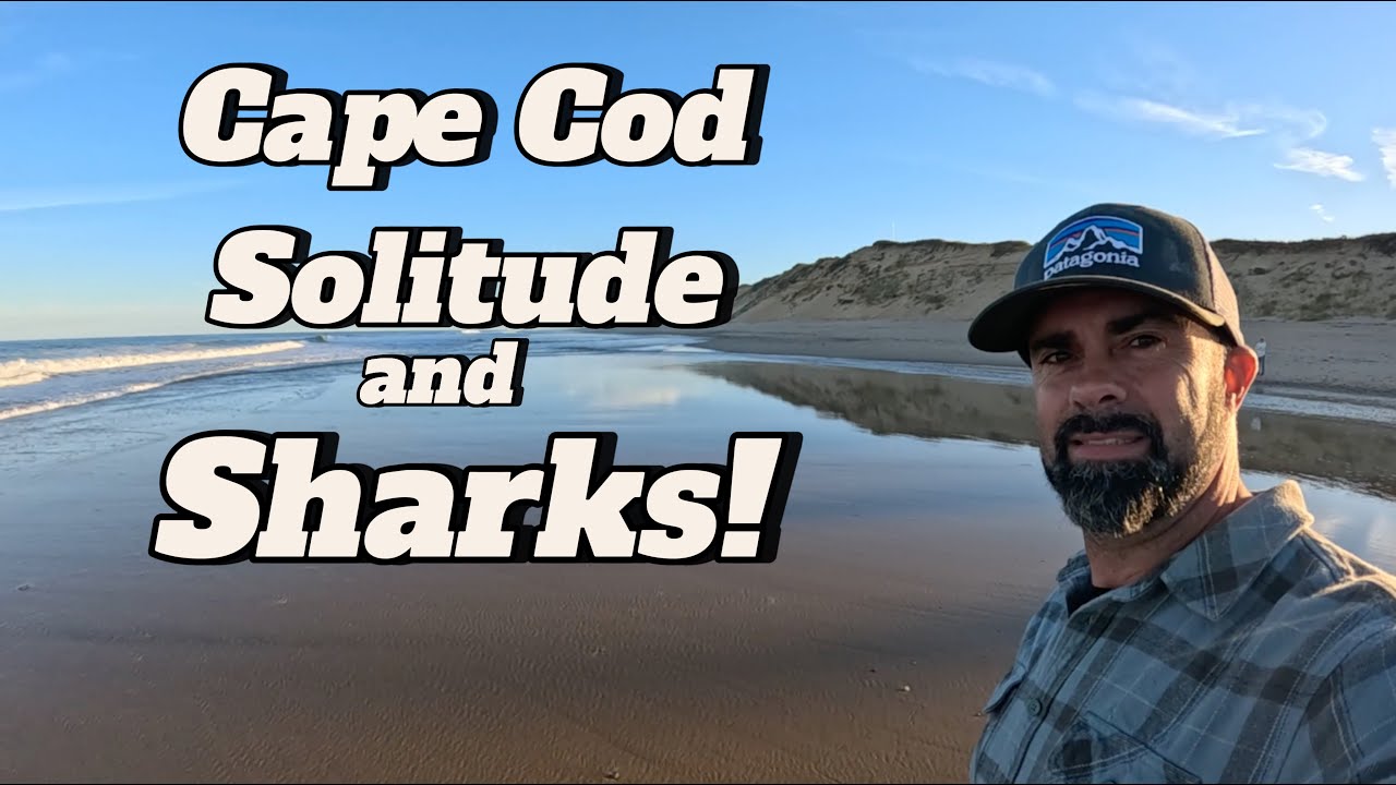 Cape Cod Solitude and Sharks