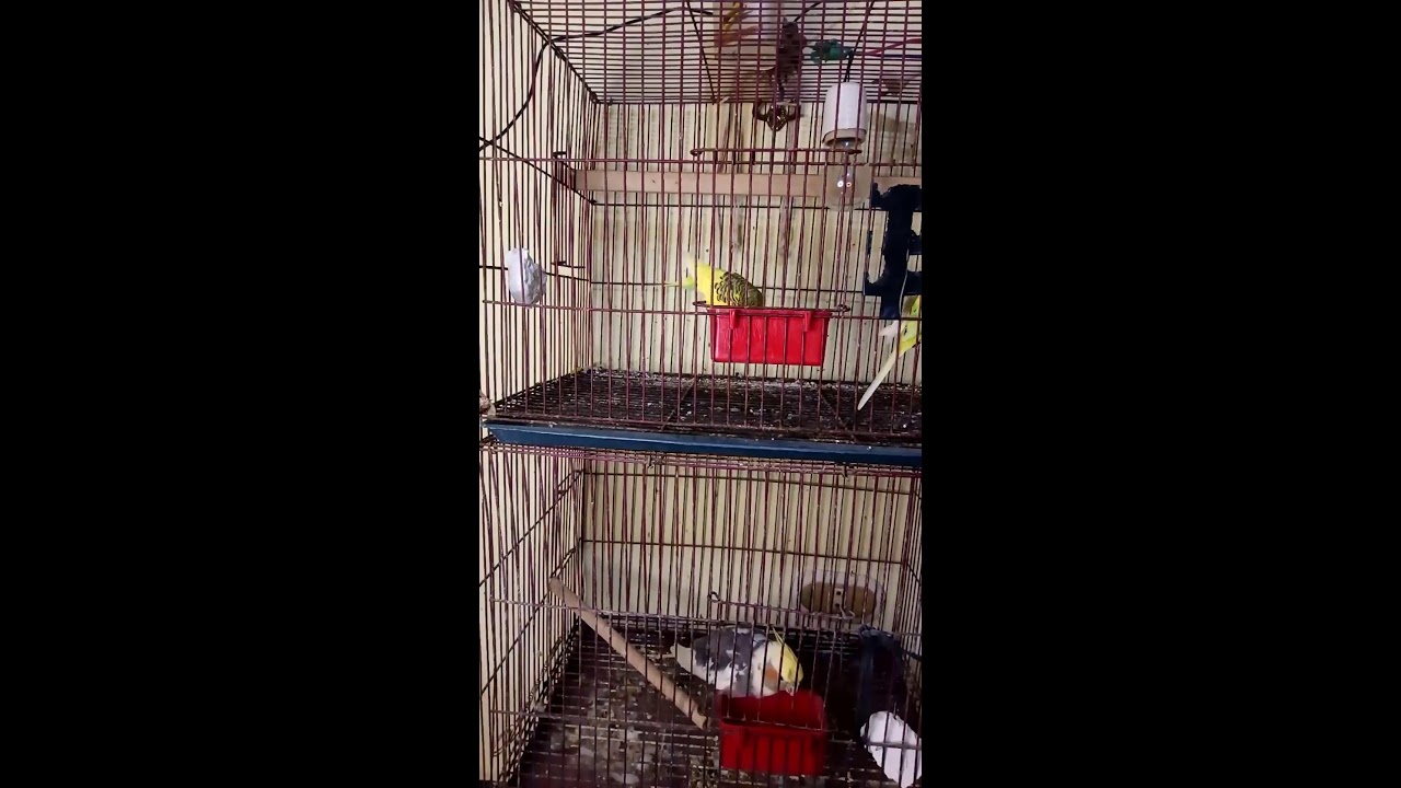 Never abandoned me for years catherine lovely real angel join please 💞😇🦜🙏🤍