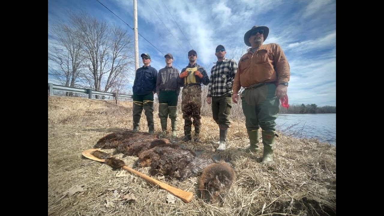 Maine guide beaver trapping | Campfire stories