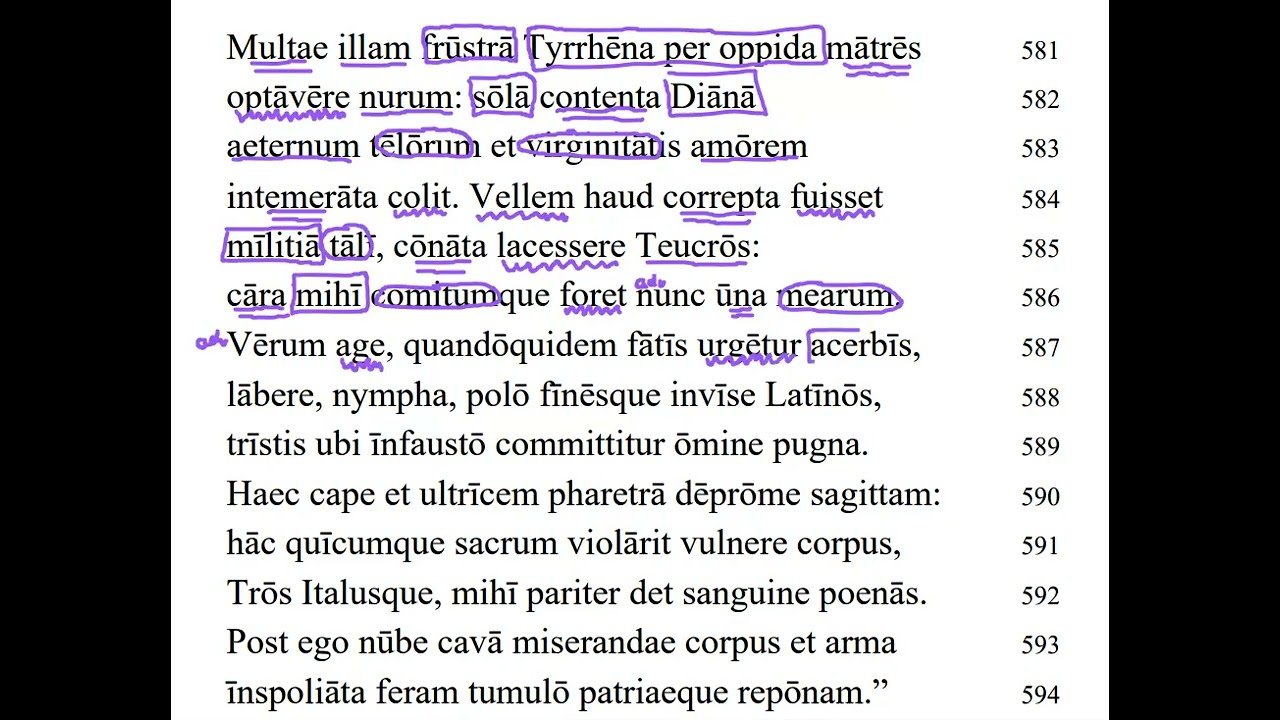 Aeneid 11.581-594