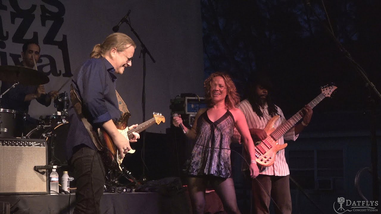 Matt Schofield 2019 11 03 Sanibel Island, Florida - Sanibel Blues & Jazz Festival - 4K Multi Cam