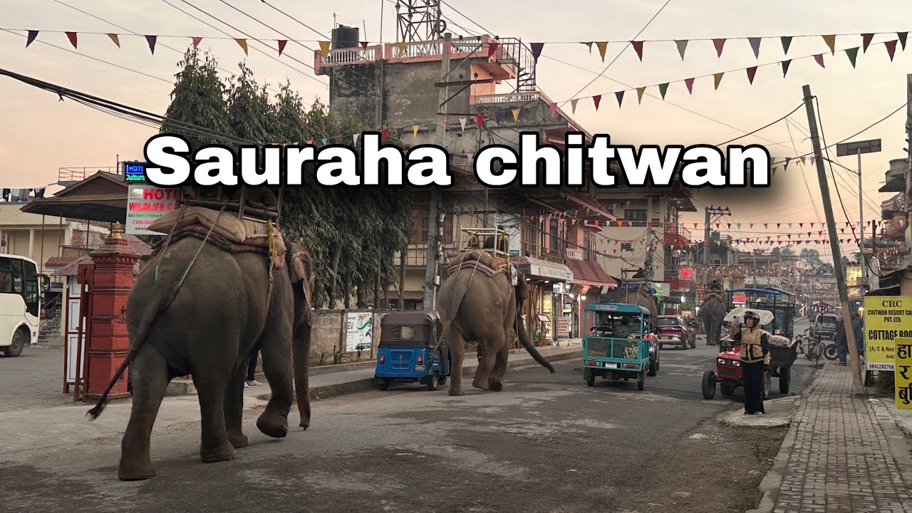 SAURAHA CHITWAN || national park || nepal || bus ride