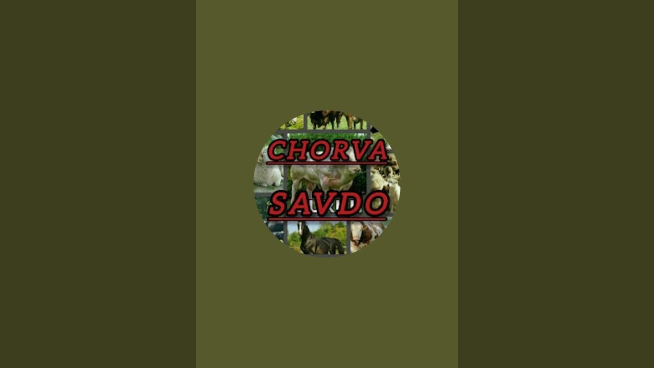 CHORVA SAVDO shoxidon qo'y bozori в прямом эфире!