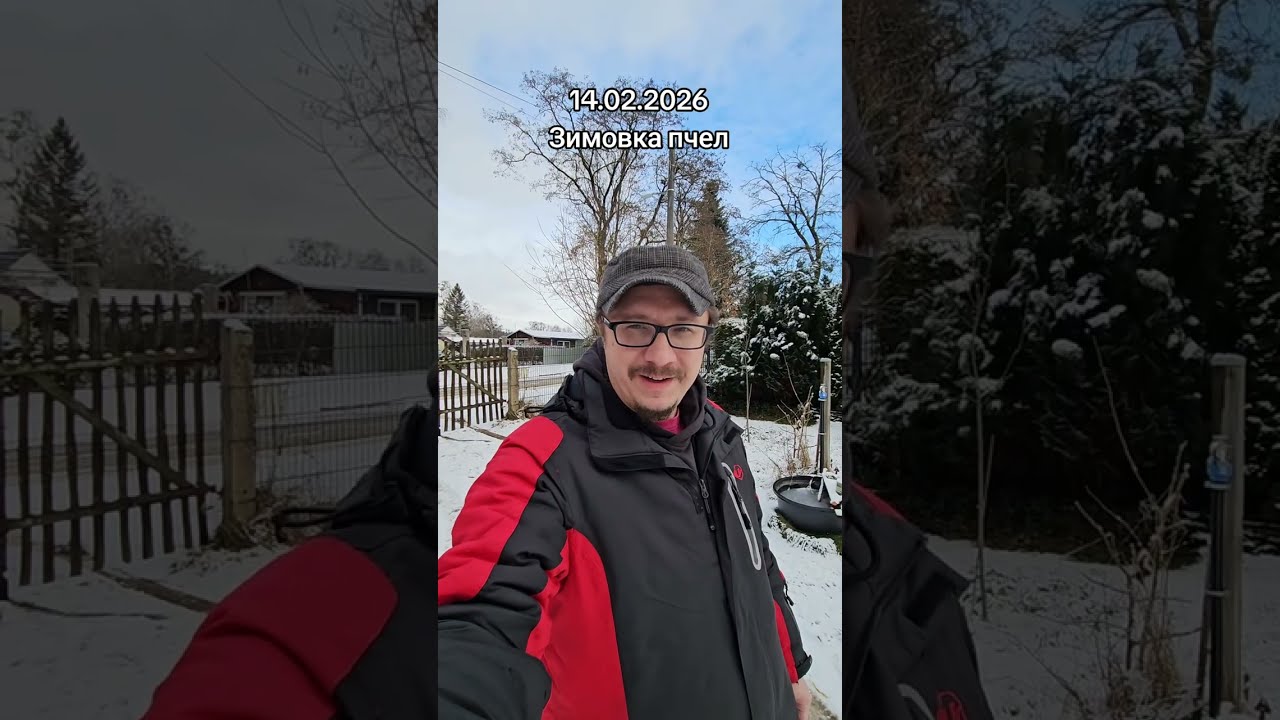 Зимовка пчёл. Пасека 14.02.2026. Зимовка ещё продолжается, проверяю состояние ульев и пчёл.