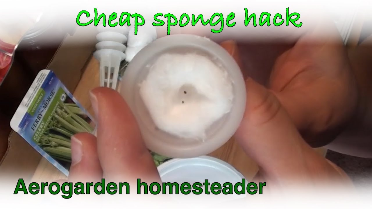 Aerogarden Sponge Replacement Hack - Garden update