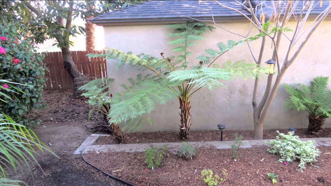 Bungalow Style 2 Bedroom in Santa Paula CA Homes For Sale Close to MCKEVETT ELEMENTARY SCHOOL