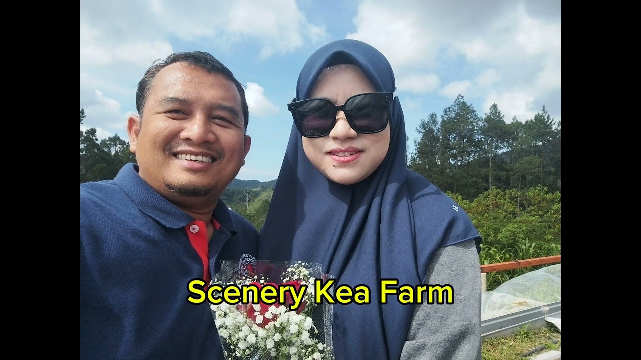 3D2N ke Cameron Highlands, 2026