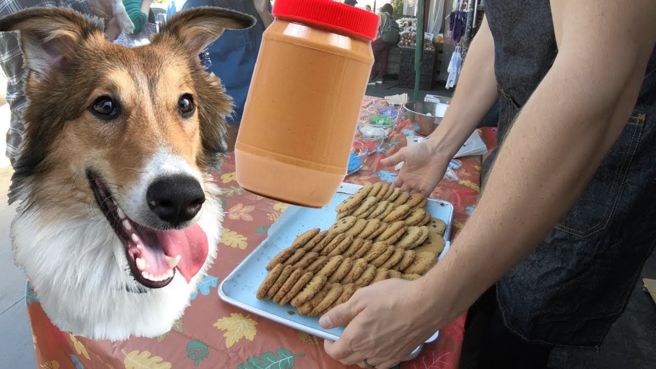 Dogs Eat Peanut Butter Cookies (Try Not To Smile)