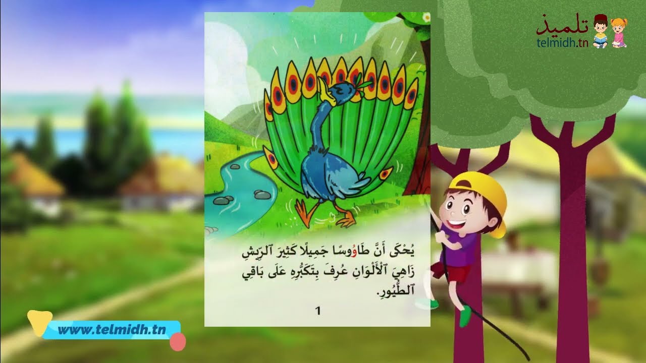 قصة اليوم - الطاووس المتكبر و الاوزة المغرورة