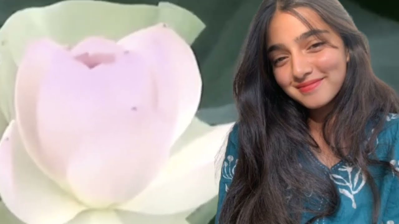 عيّيت نبكي عليه باش يخرج، ولكن ما بغاش.😱