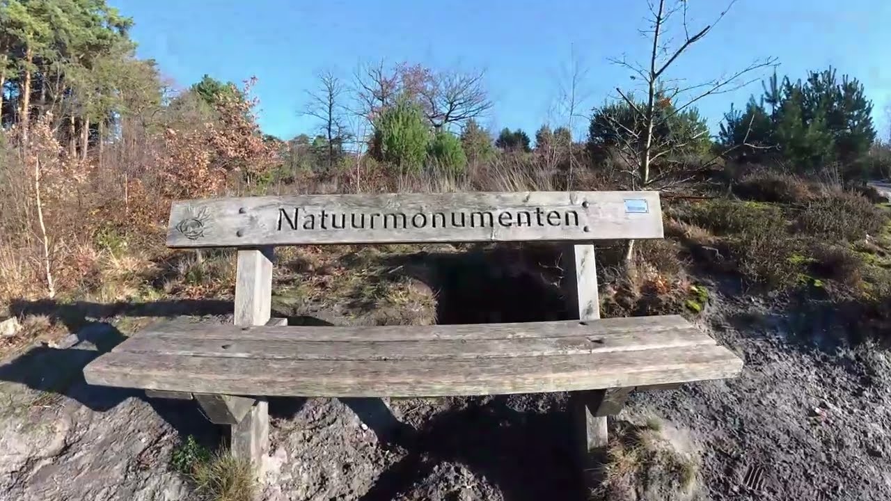 Sieben unterwegs in der Brunssumer Heide 