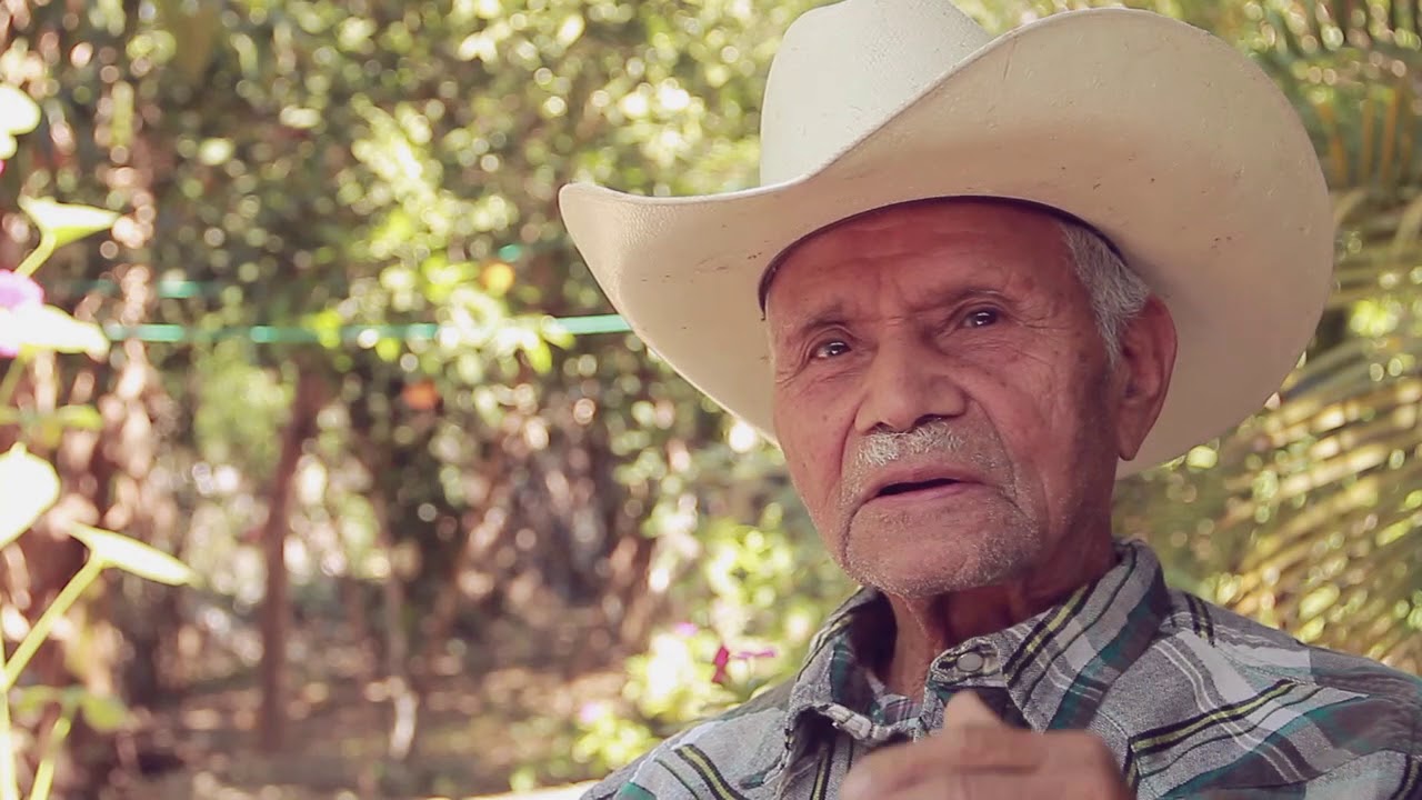 Huapango Arribeño: la topada