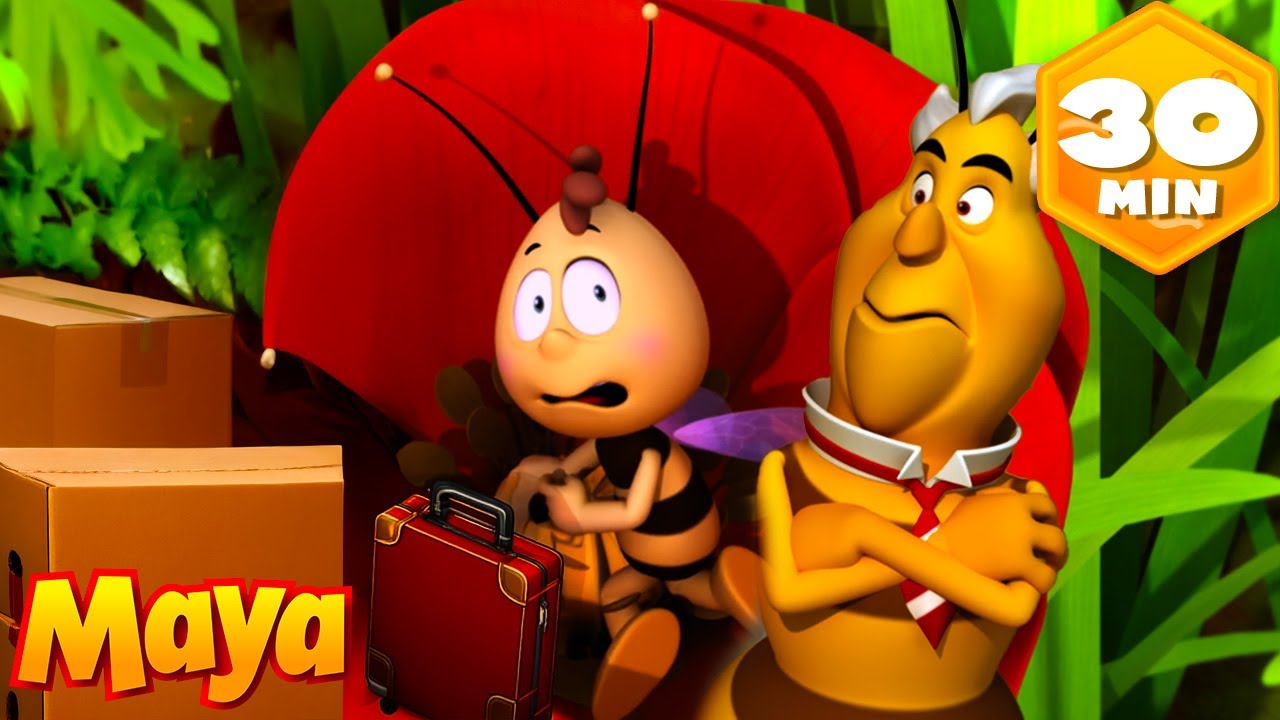 ¡No te vayas, Willy! 📦   | Animaj Kids - Historias y Aventuras!