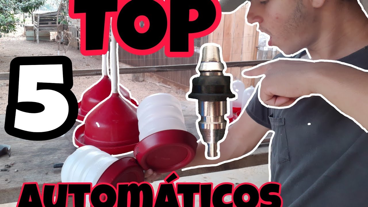 TOP 5 melhores bebedouro AUTOMÁTICOS para suas aves!!!!!!!!!!