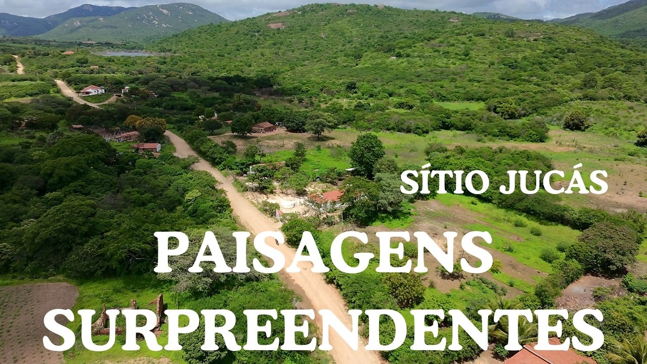 SERTÃO TODO VERDE: OS ENCANTOS DO SÍTIO JUCÁS COMO NUNCA VISTO ANTES