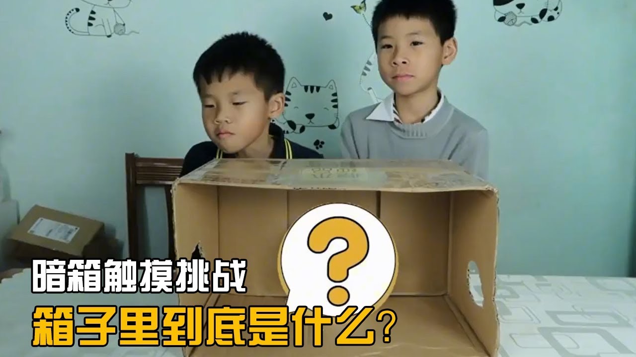 暗箱触摸挑战，哥哥说摸到的东西像老鼠会是什么呢？