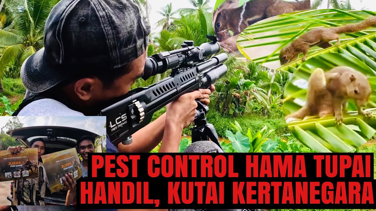 WAJIB PUNYA!!!🔥🔥 DISCOVERYOPT FFP 1.4jt BISA MAIN TURRET DAN JERNIH // LCS SK-19 COMPACT FULL AUTO