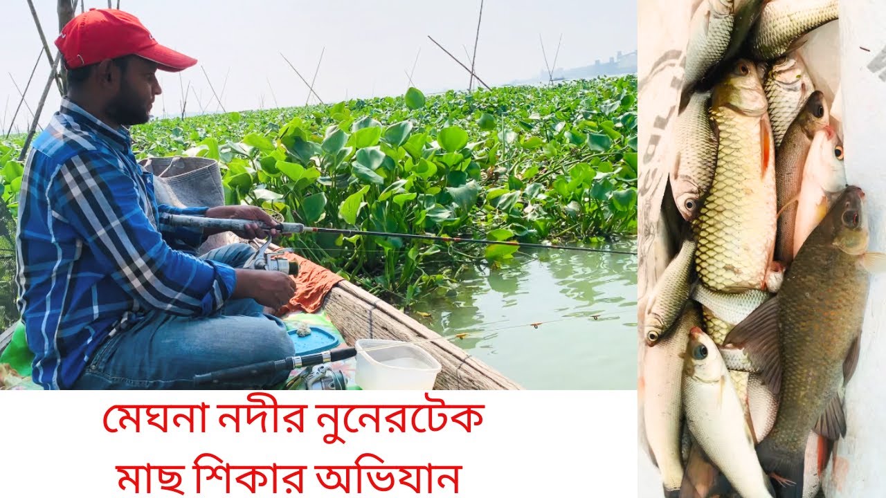 মেঘনা নদীর নুনেরটেক মাছ শিকার অভিযান/Nunertek fishing expedition of Meghna river/Asraf Fishing